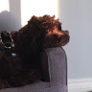 Meet your Posher, Corinne